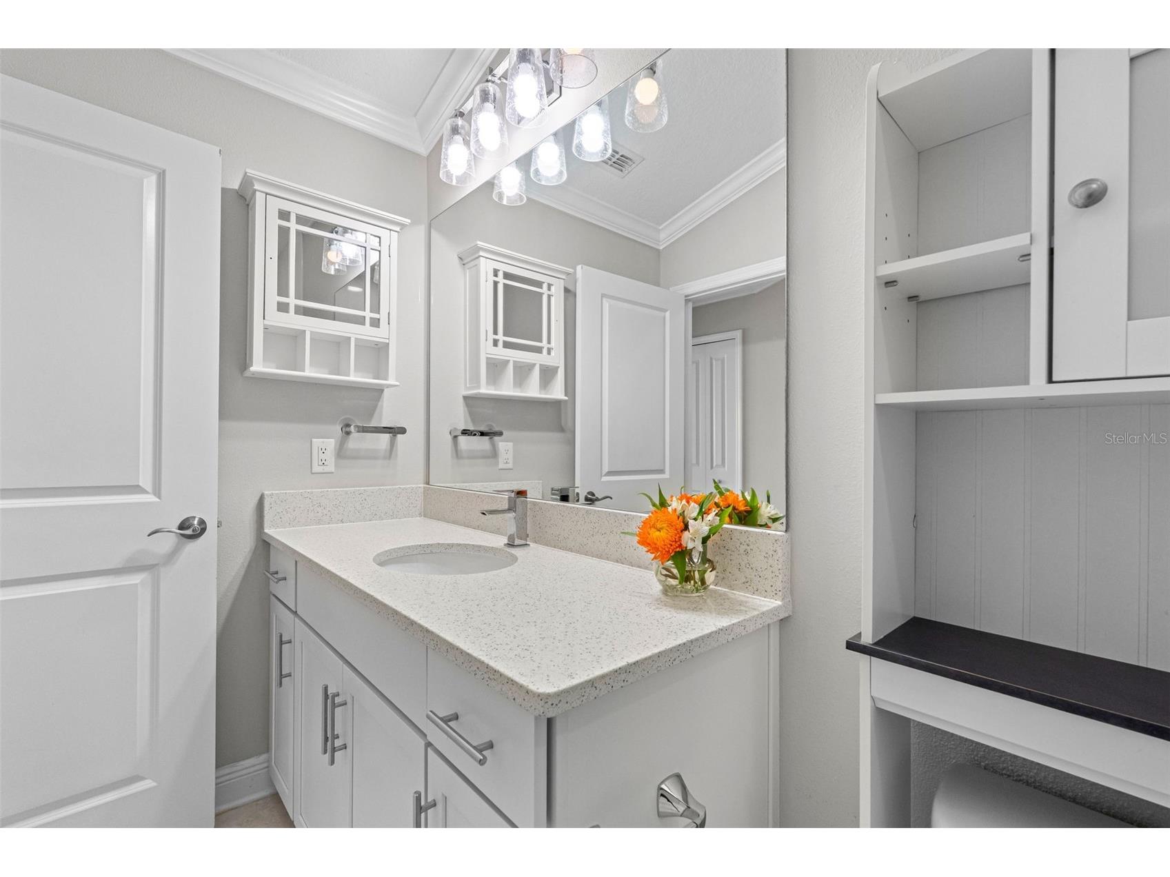 2456 Foggy Creek Circle Clearwater FL 33764 TB8473991 image25