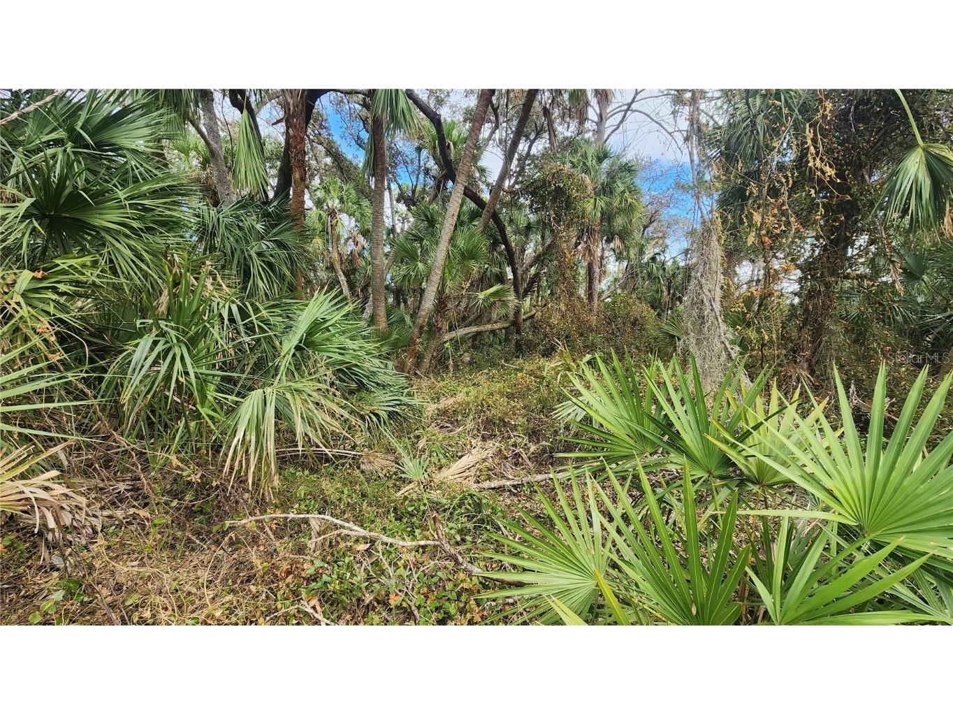 2456 Hiawatha Street Port Charlotte FL 33948 C7505941 image7