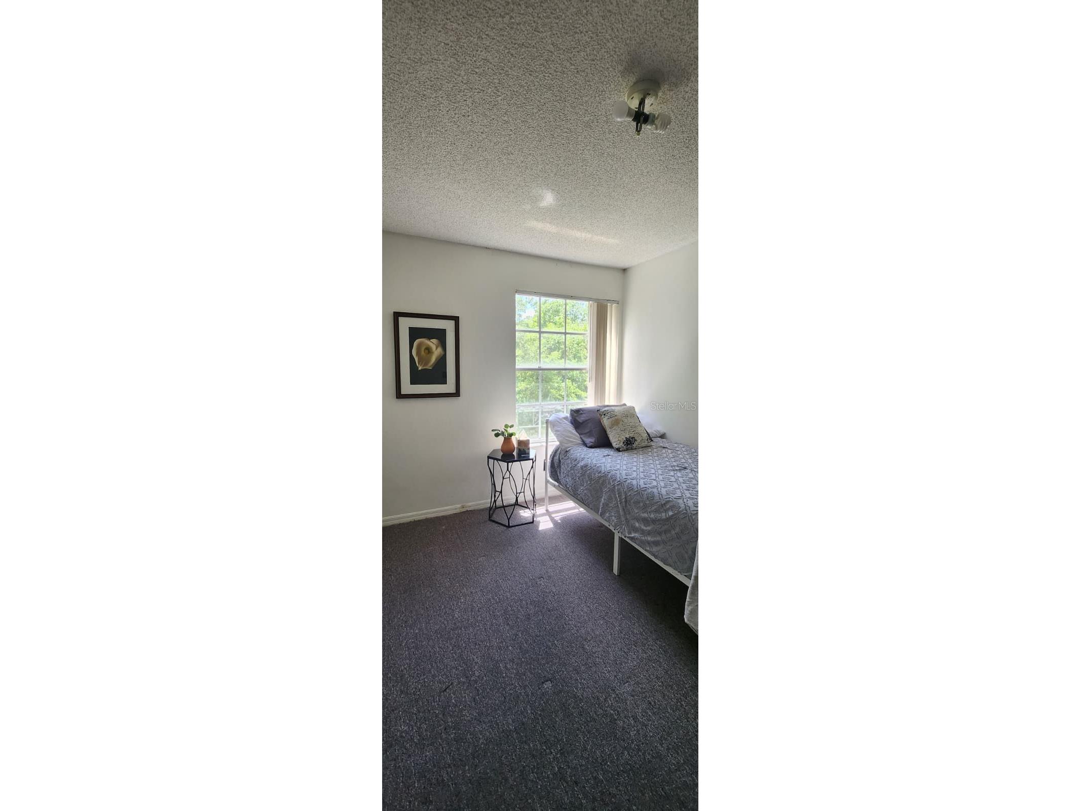 2456 Sweetwater Club Circle #20 Kissimmee FL 34746 O6403343 image10