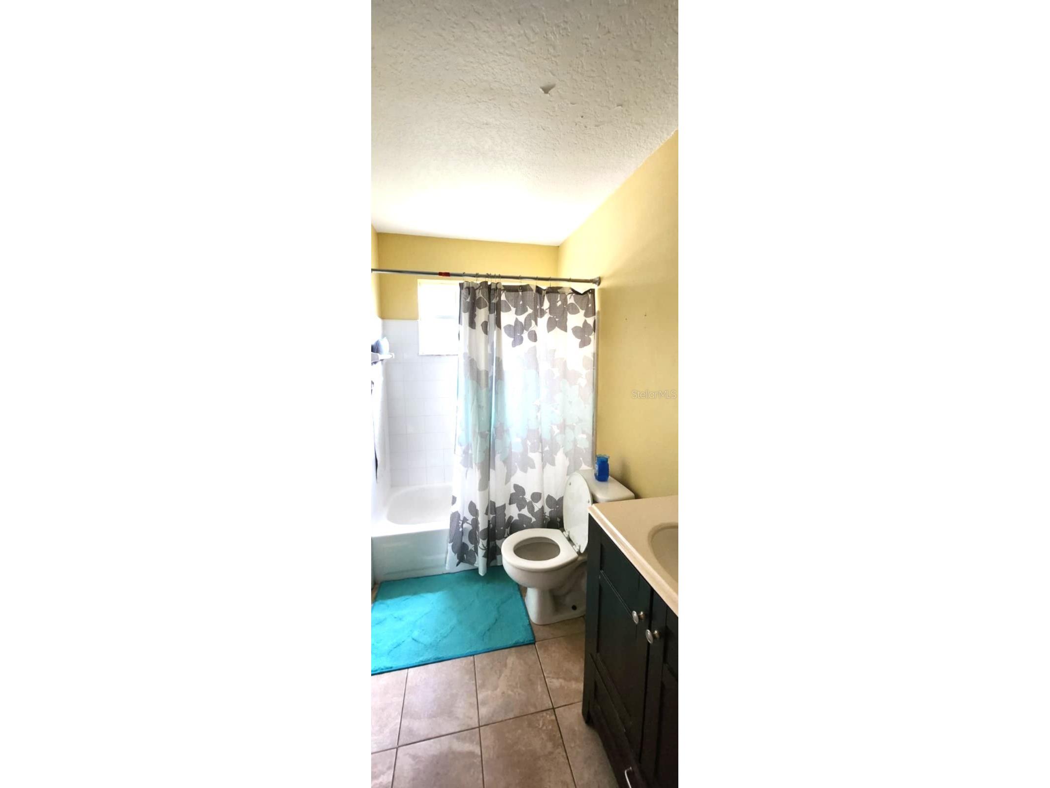 2456 Sweetwater Club Circle #20 Kissimmee FL 34746 O6403343 image8