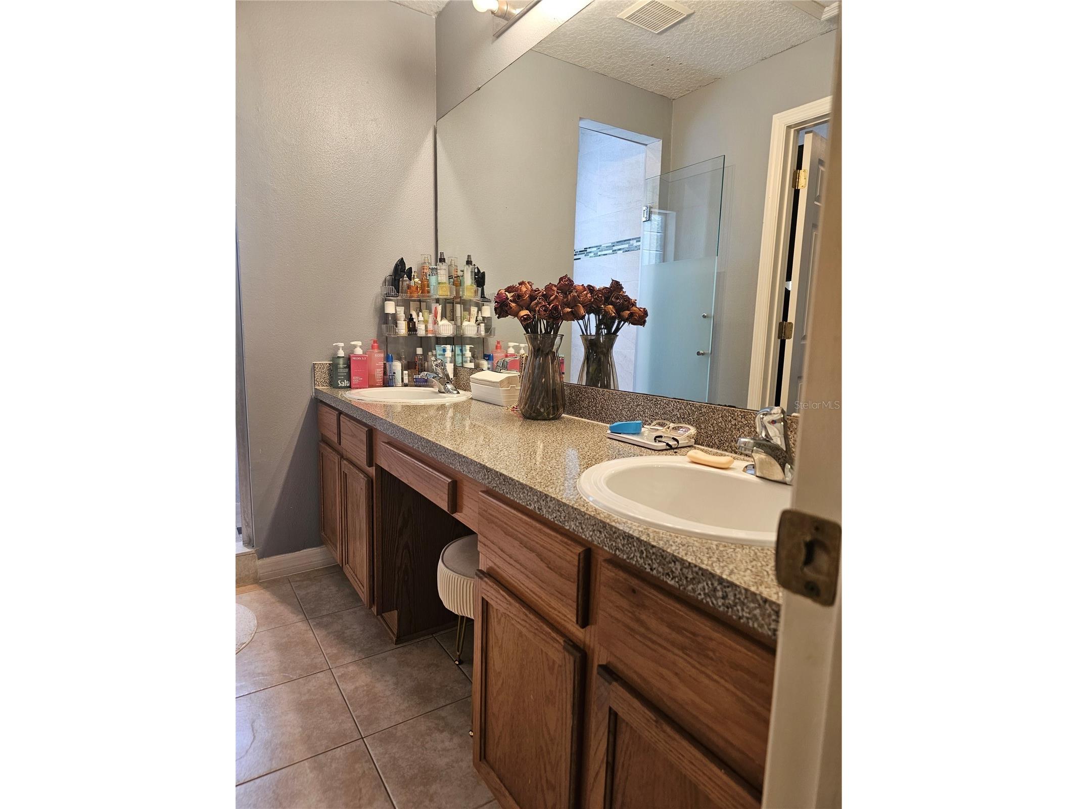 2456 Temple Grove Lane Kissimmee FL 34741 S5150646 image25