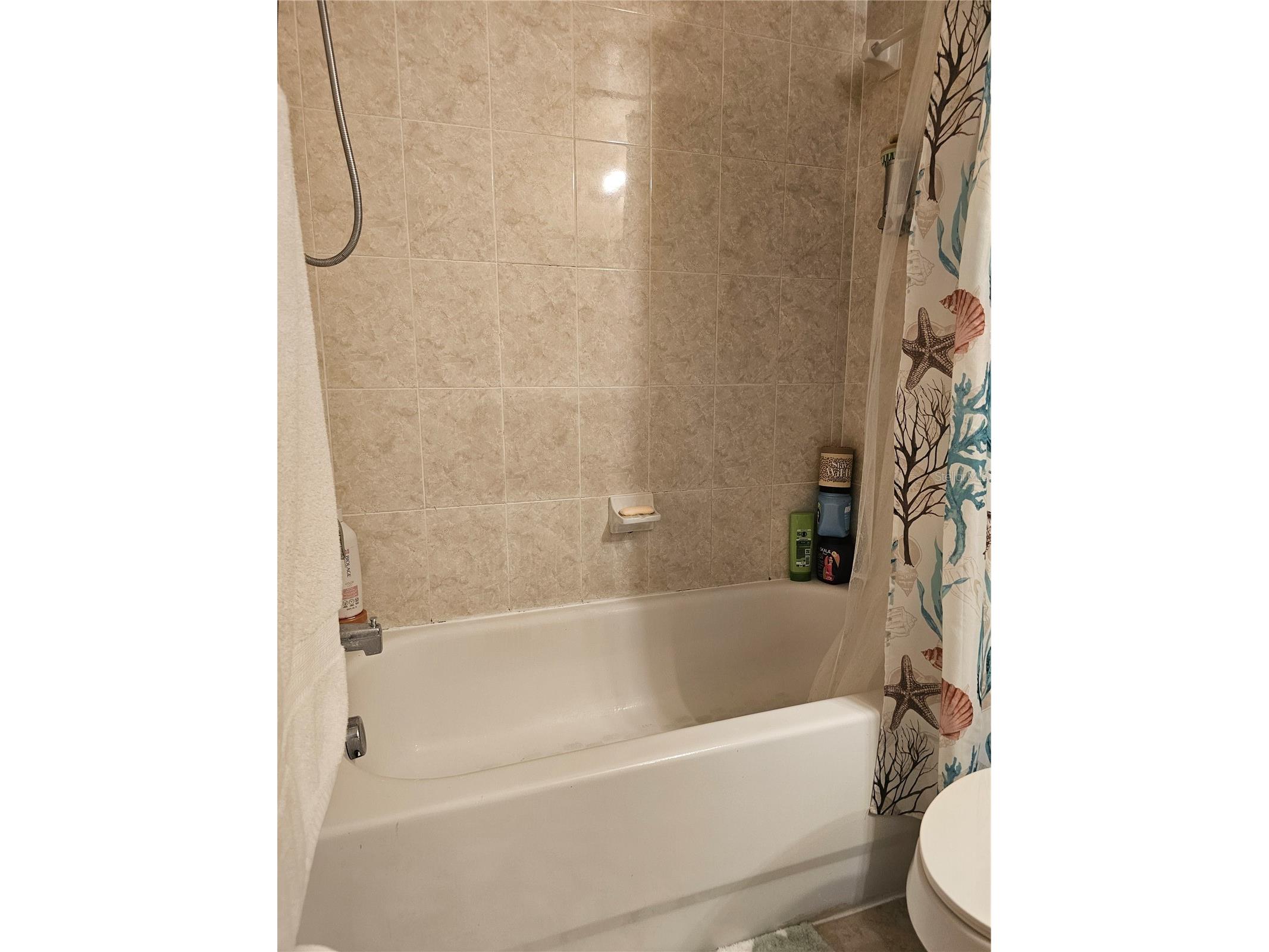 2456 Temple Grove Lane Kissimmee FL 34741 S5150646 image29