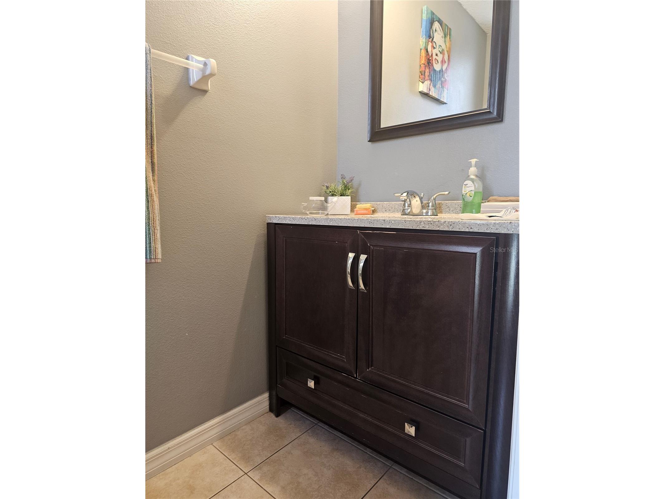 2456 Temple Grove Lane Kissimmee FL 34741 S5150646 image6
