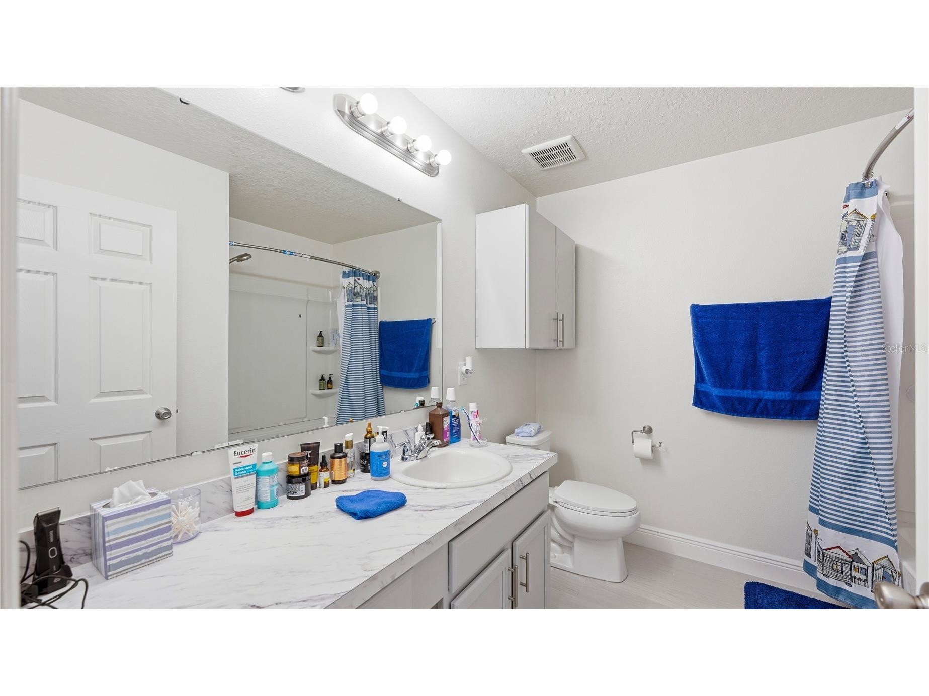2457 Bulrush Drive Saint Cloud FL 34769 S5151776 image12
