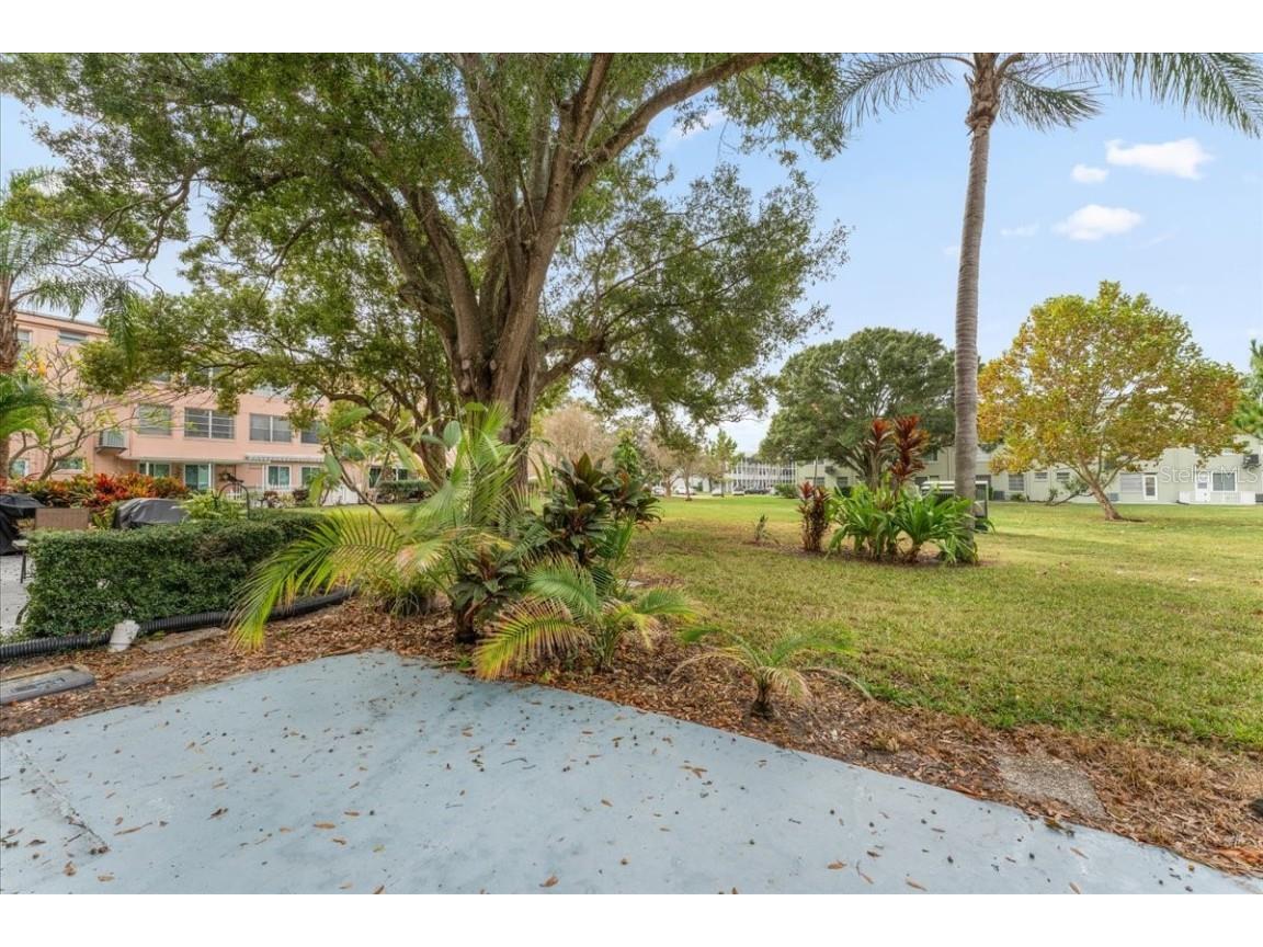 2457 Ecuadorian Way #27 Clearwater FL 33763 TB8453830 image36