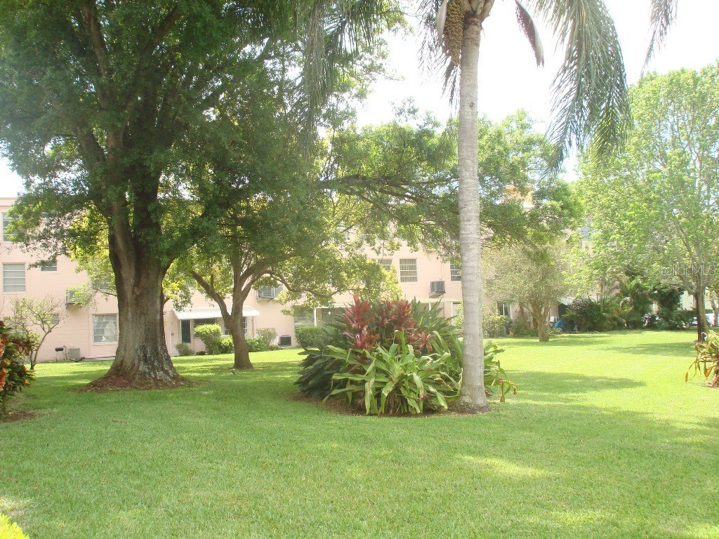 2457 Ecuadorian Way #75 Clearwater FL 33763 U8235696 image1