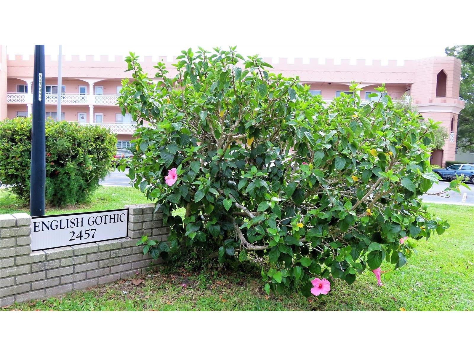 2457 Ecuadorian Way #85 Clearwater FL 33763 TB8504774 image2