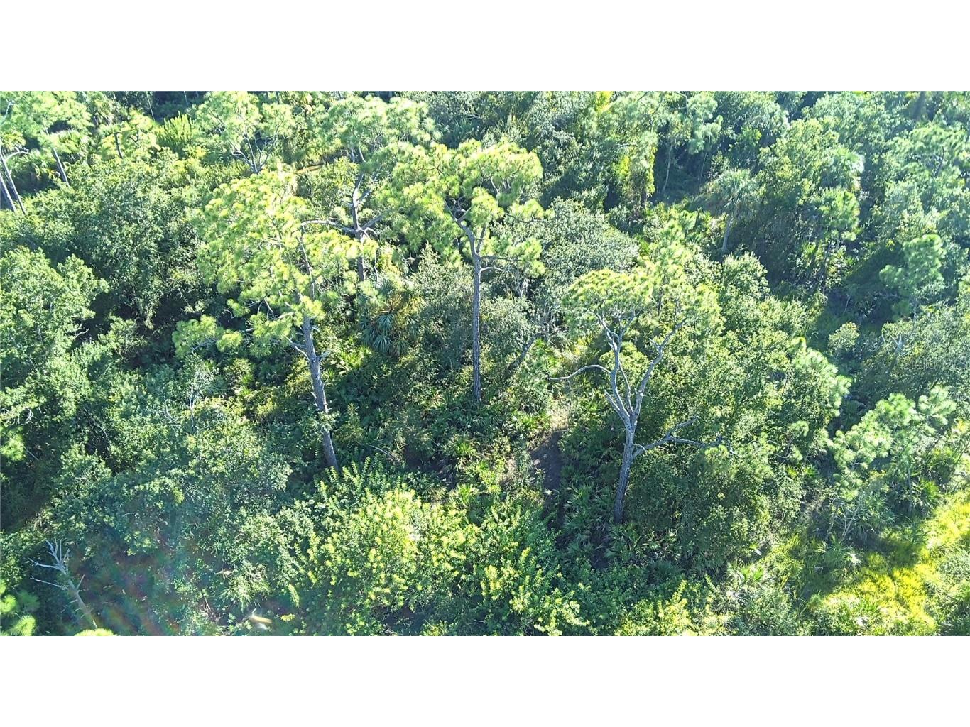 24573 Yacht Club Boulevard Punta Gorda FL 33955 C7496744 image11