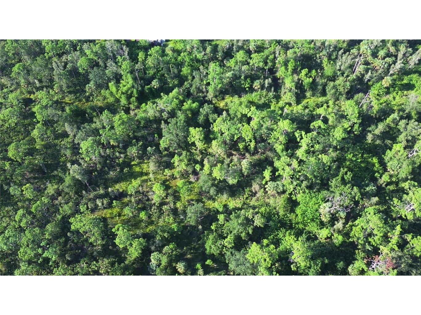 24573 Yacht Club Boulevard Punta Gorda FL 33955 C7496744 image17