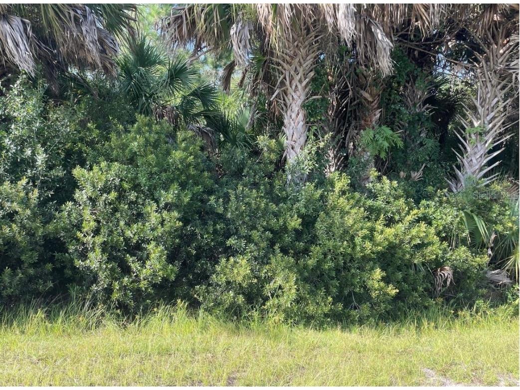 24573 Yacht Club Boulevard Punta Gorda FL 33955 C7496744 image3