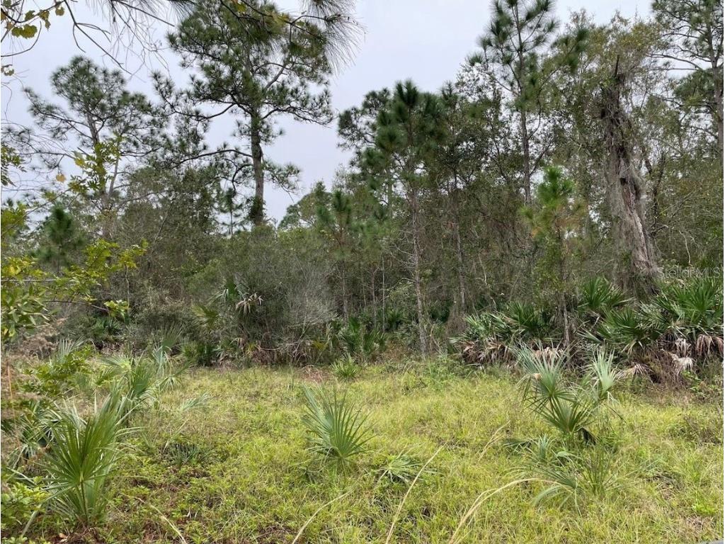 24573 Yacht Club Boulevard Punta Gorda FL 33955 C7496744 image5