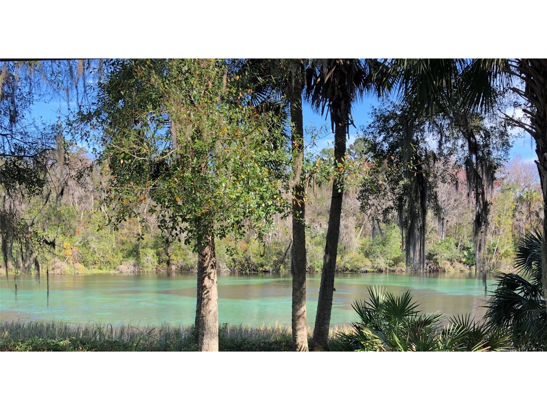 24576 NW Falcon Avenue Dunnellon FL 34431 - LAKE BONABLE LITTLE LAKE BONA OM721759 image5