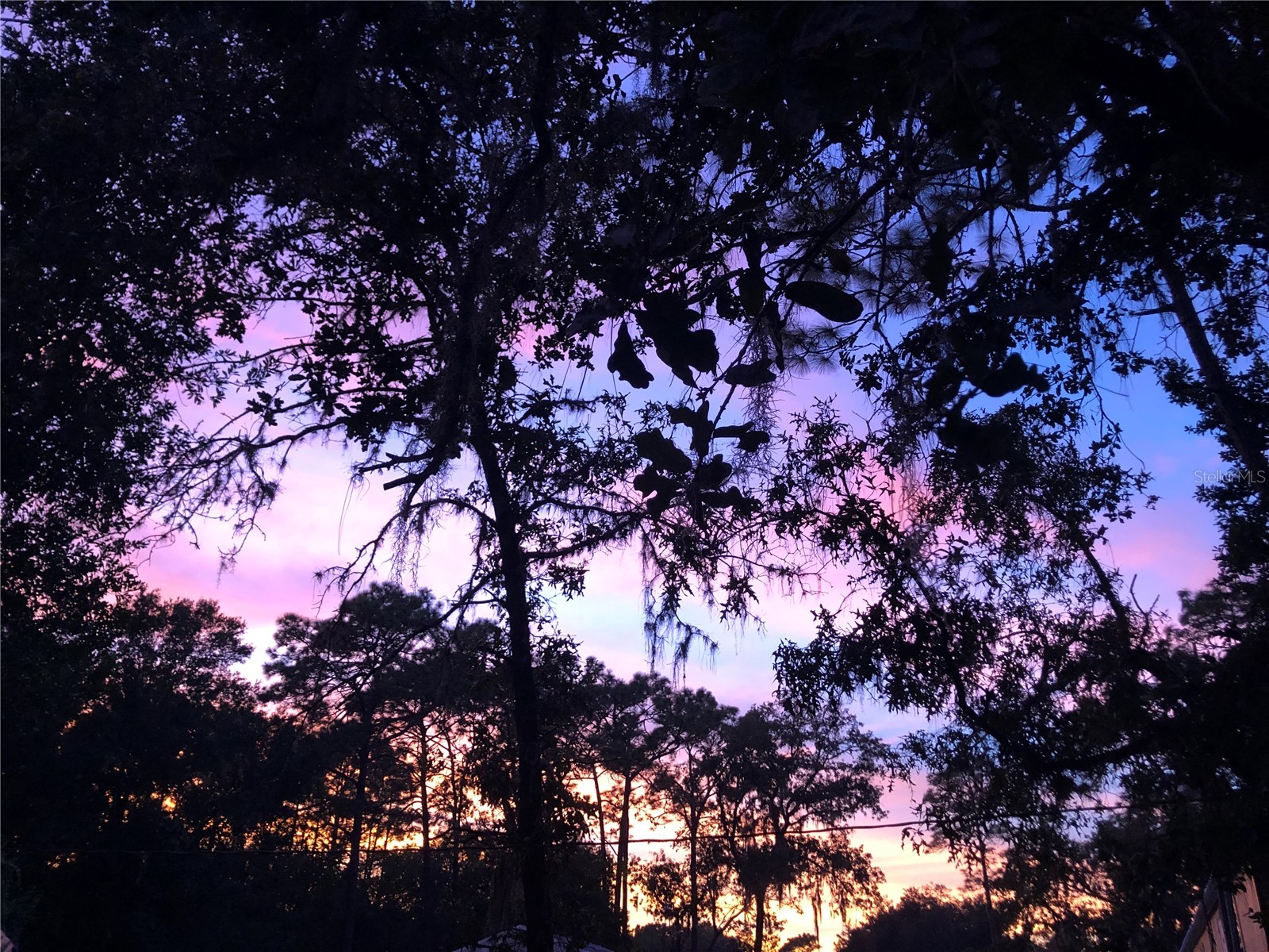 24576 NW Falcon Avenue Dunnellon FL 34431 - LAKE BONABLE LITTLE LAKE BONA OM721759 image65
