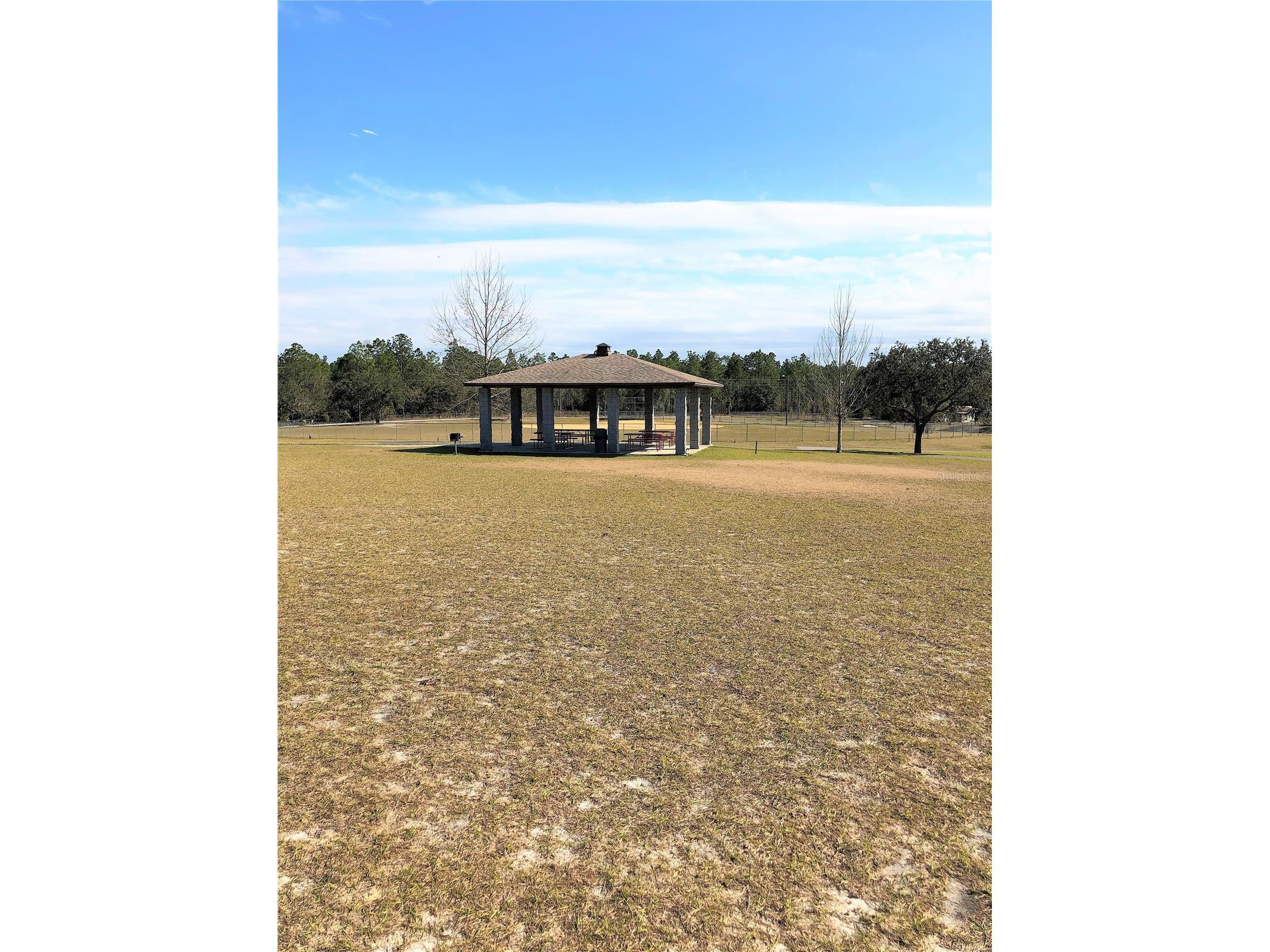 24576 NW Falcon Avenue Dunnellon FL 34431 - LAKE BONABLE LITTLE LAKE BONA OM721759 image72