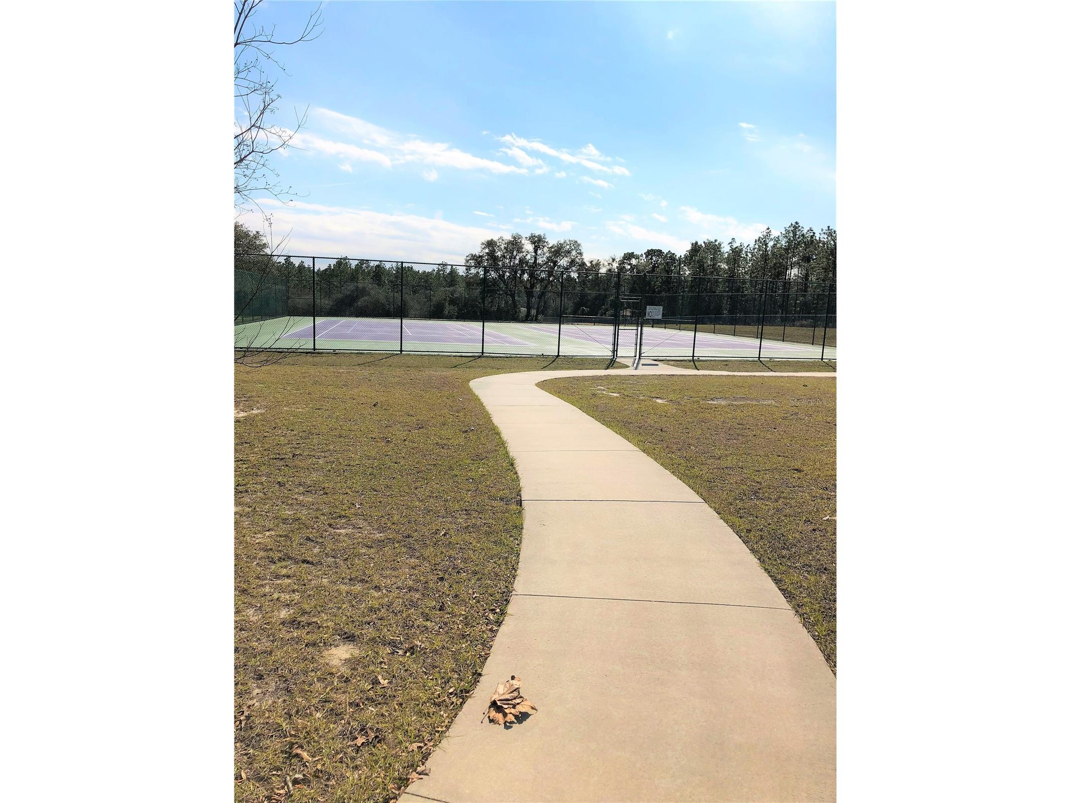 24576 NW Falcon Avenue Dunnellon FL 34431 - LAKE BONABLE LITTLE LAKE BONA OM721759 image73
