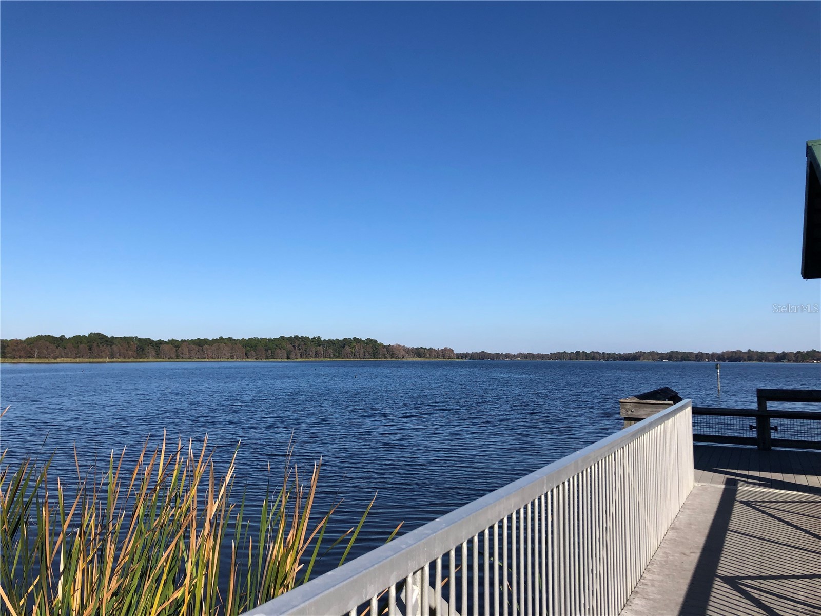 24576 NW Falcon Avenue Dunnellon FL 34431 - LAKE BONABLE LITTLE LAKE BONA OM721759 image86