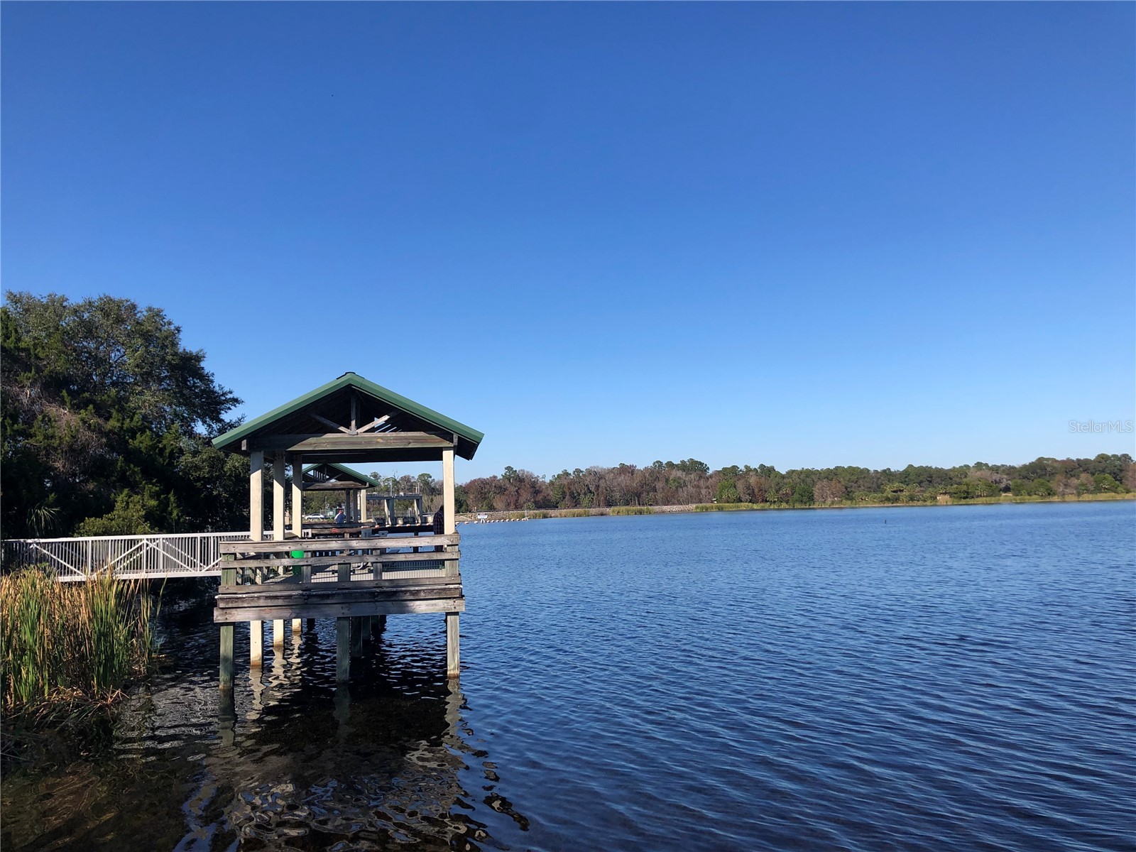 24576 NW Falcon Avenue Dunnellon FL 34431 - LAKE BONABLE LITTLE LAKE BONA OM721759 image87