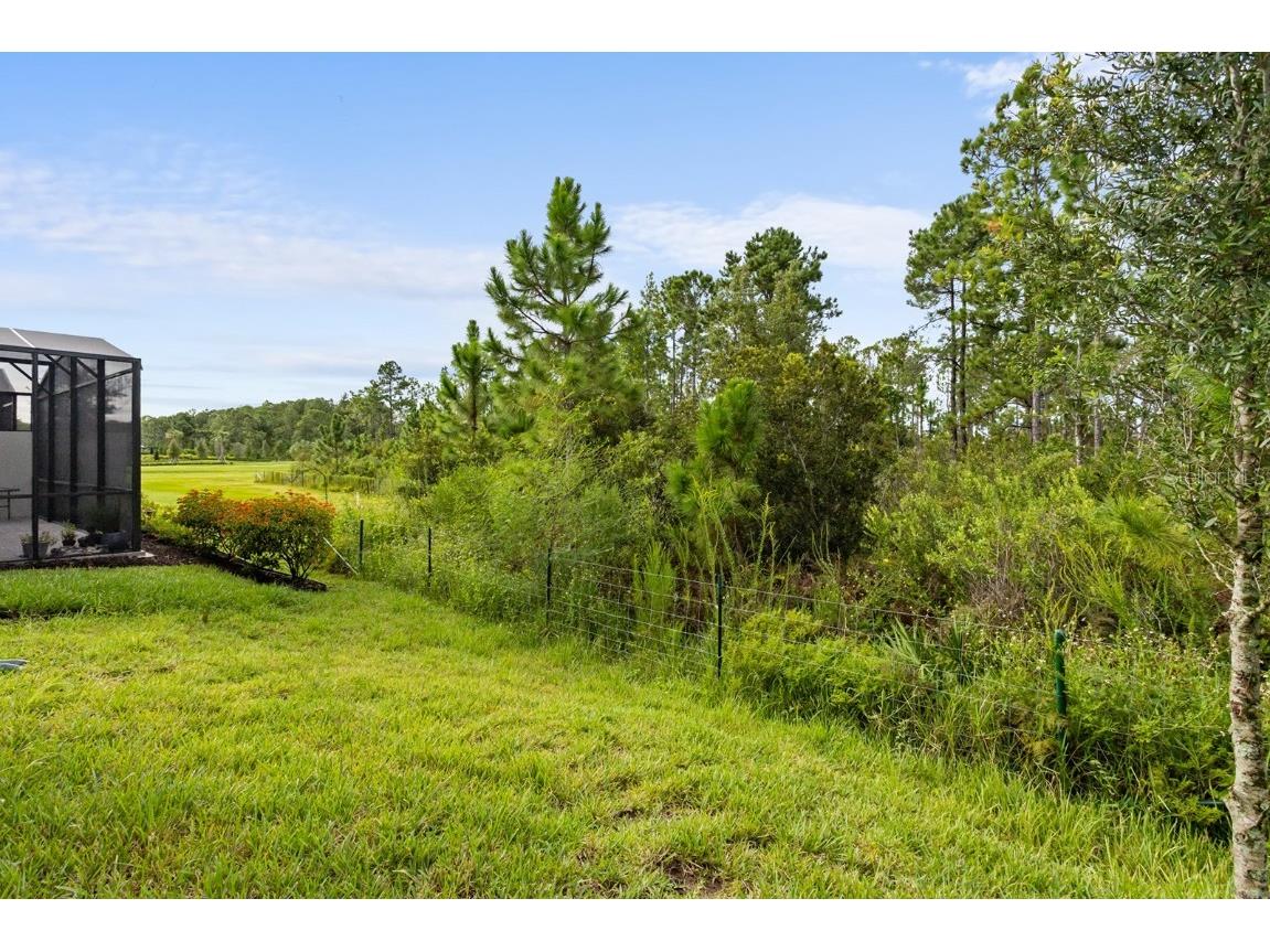 2458 Cliff Way Saint Cloud FL 34771 O6343338 image19