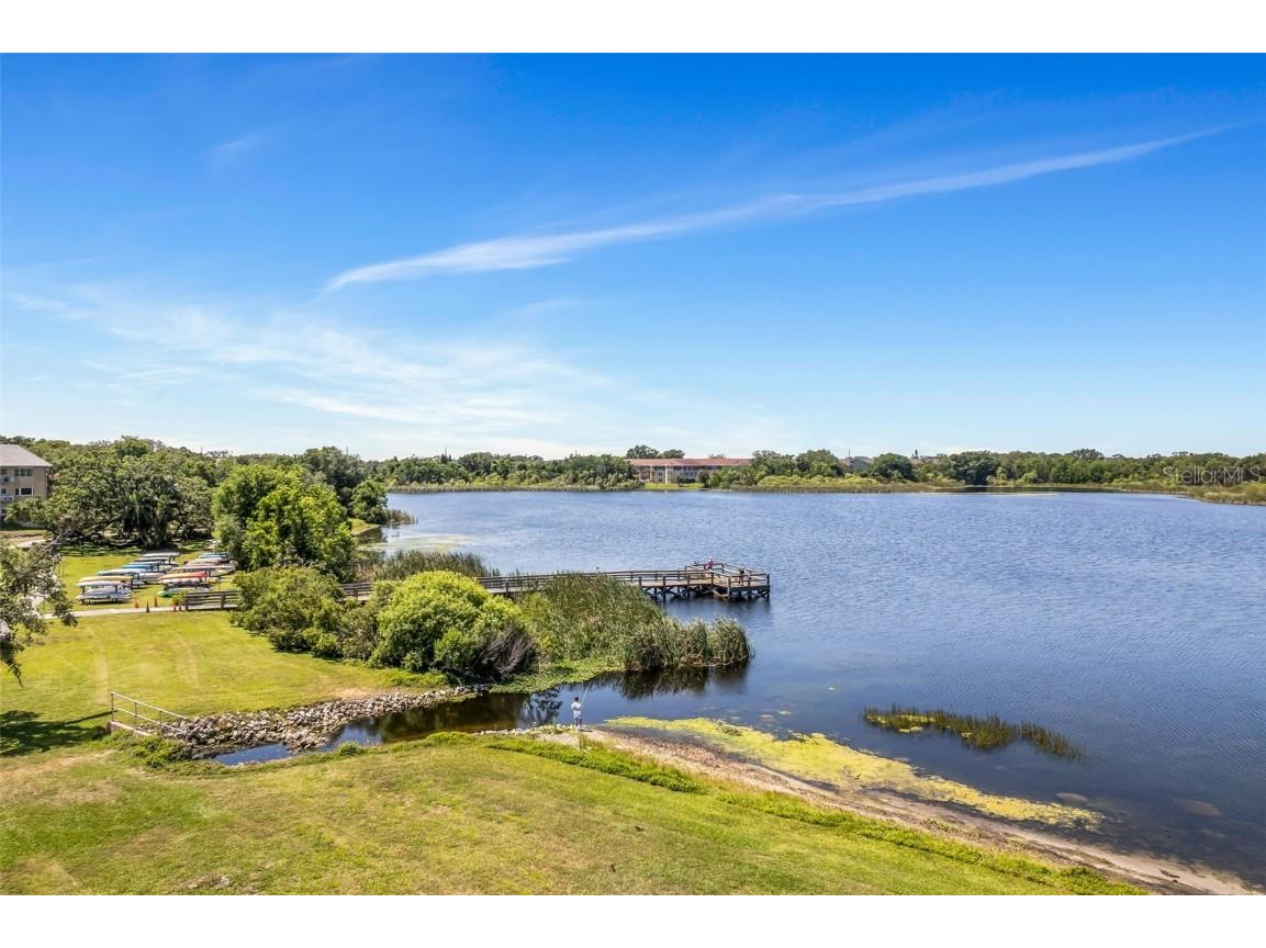 2458 Columbia Dr E #84 Clearwater FL 33763 TB8375950 image24