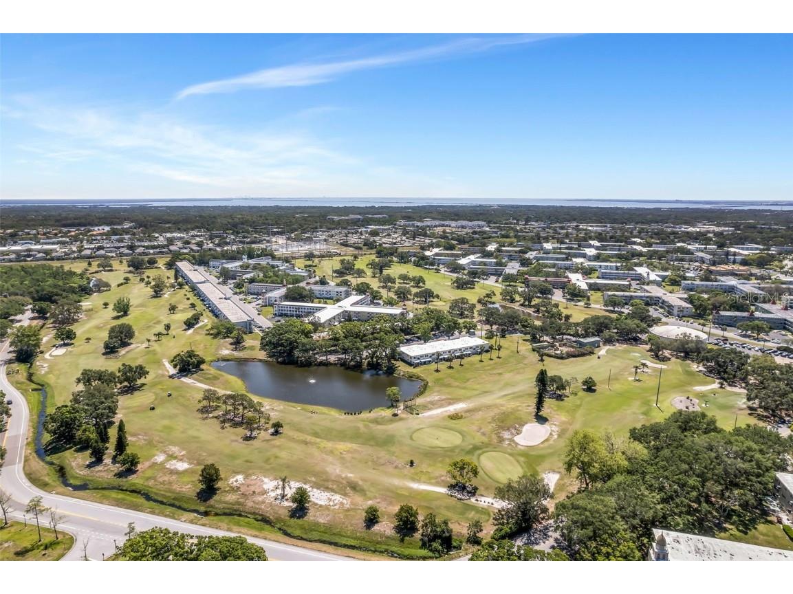 2458 Columbia Dr E #84 Clearwater FL 33763 TB8375950 image25