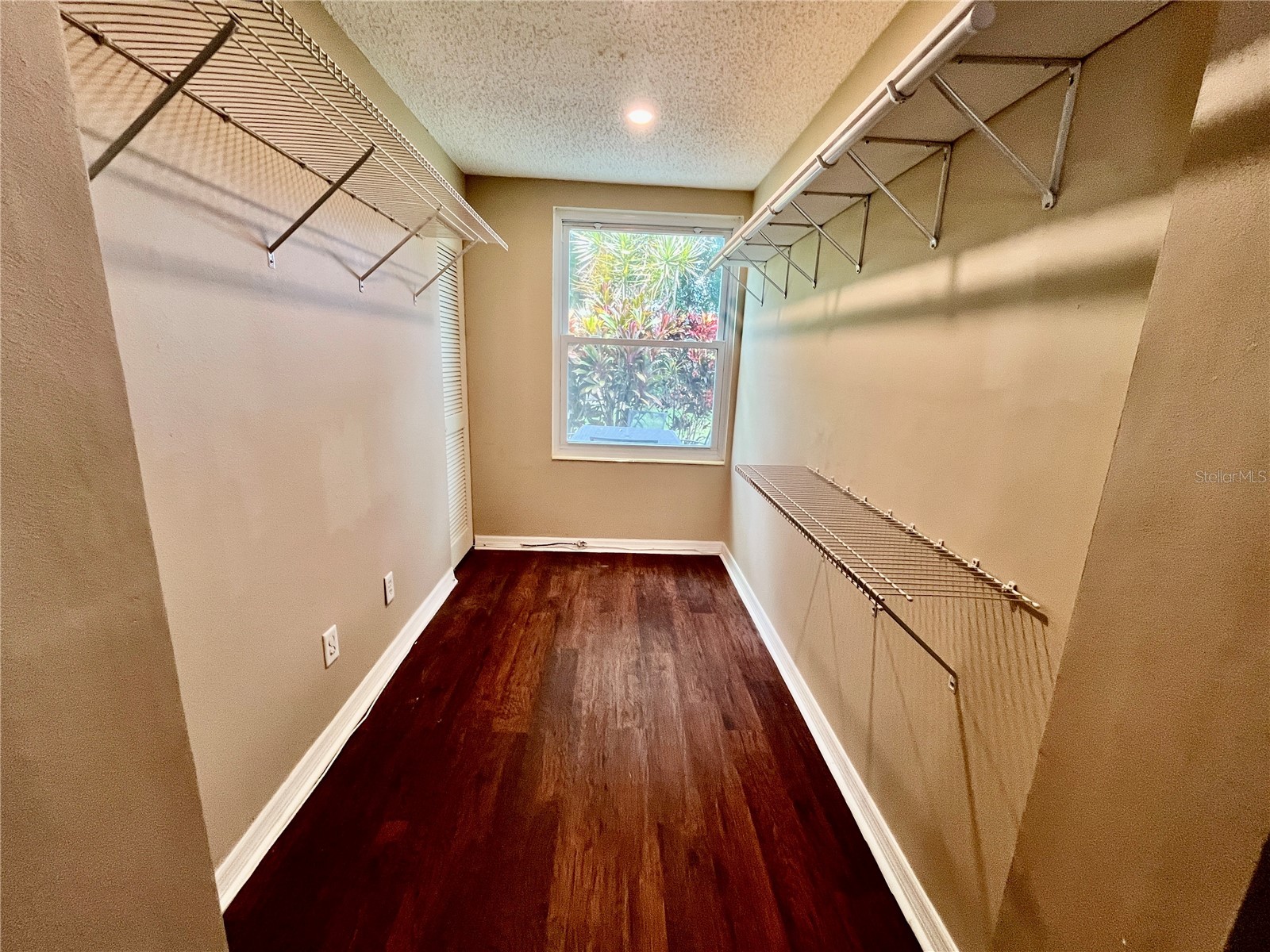 2458 Columbia Drive #28 Clearwater FL 33763 TB8528727 image20