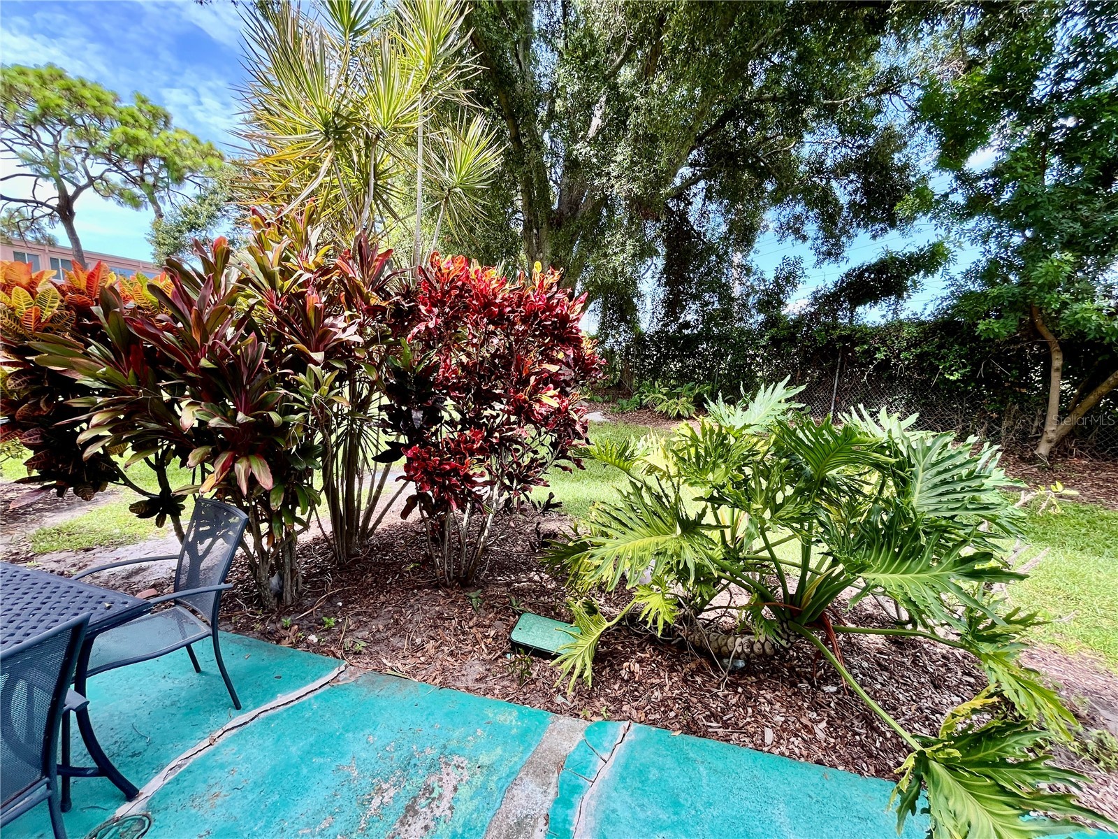 2458 Columbia Drive #28 Clearwater FL 33763 TB8528727 image31