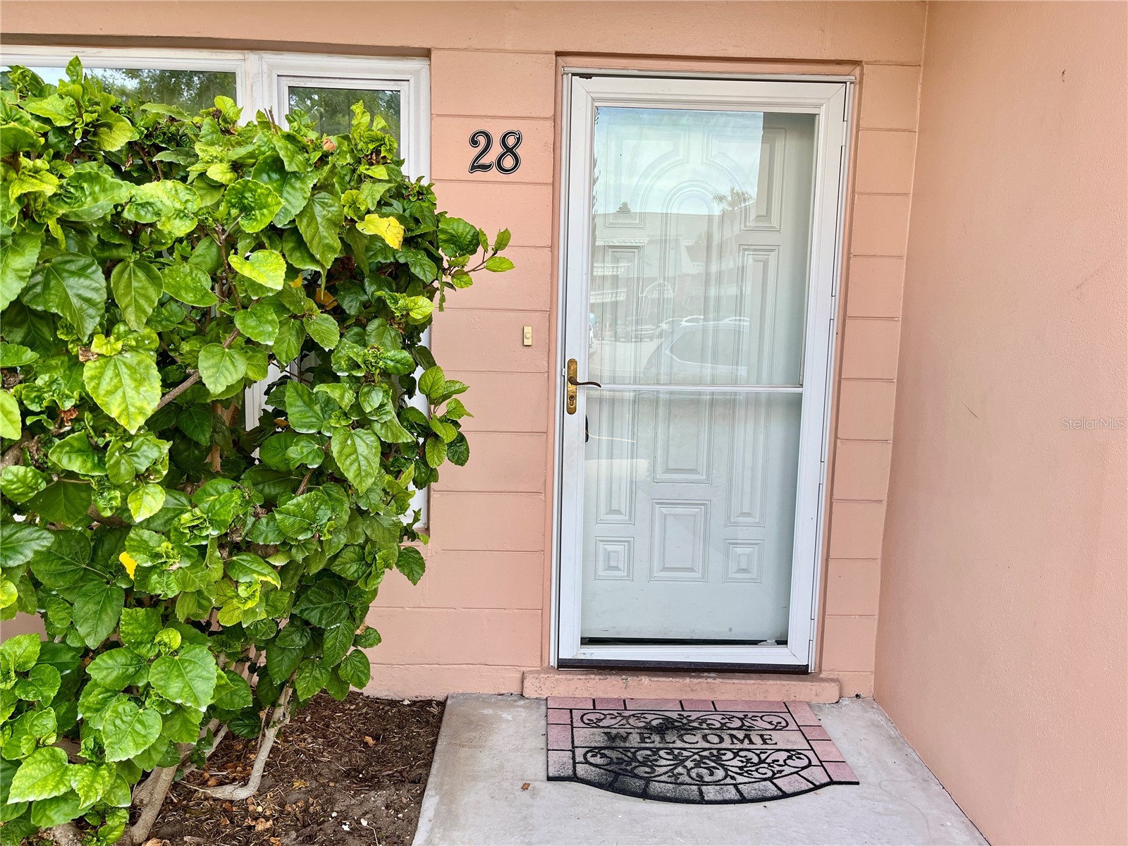 2458 Columbia Drive #28 Clearwater FL 33763 TB8528727 image4