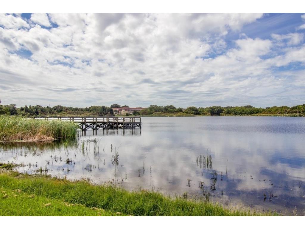 2458 Columbia Drive #28 Clearwater FL 33763 TB8528727 image51