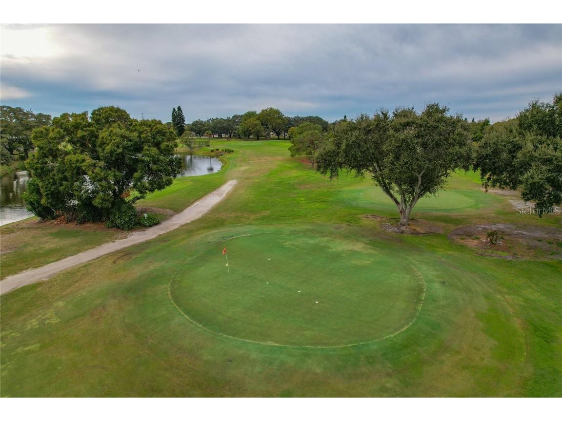 2458 Columbia Drive #68 Clearwater FL 33763 TB8446641 image21