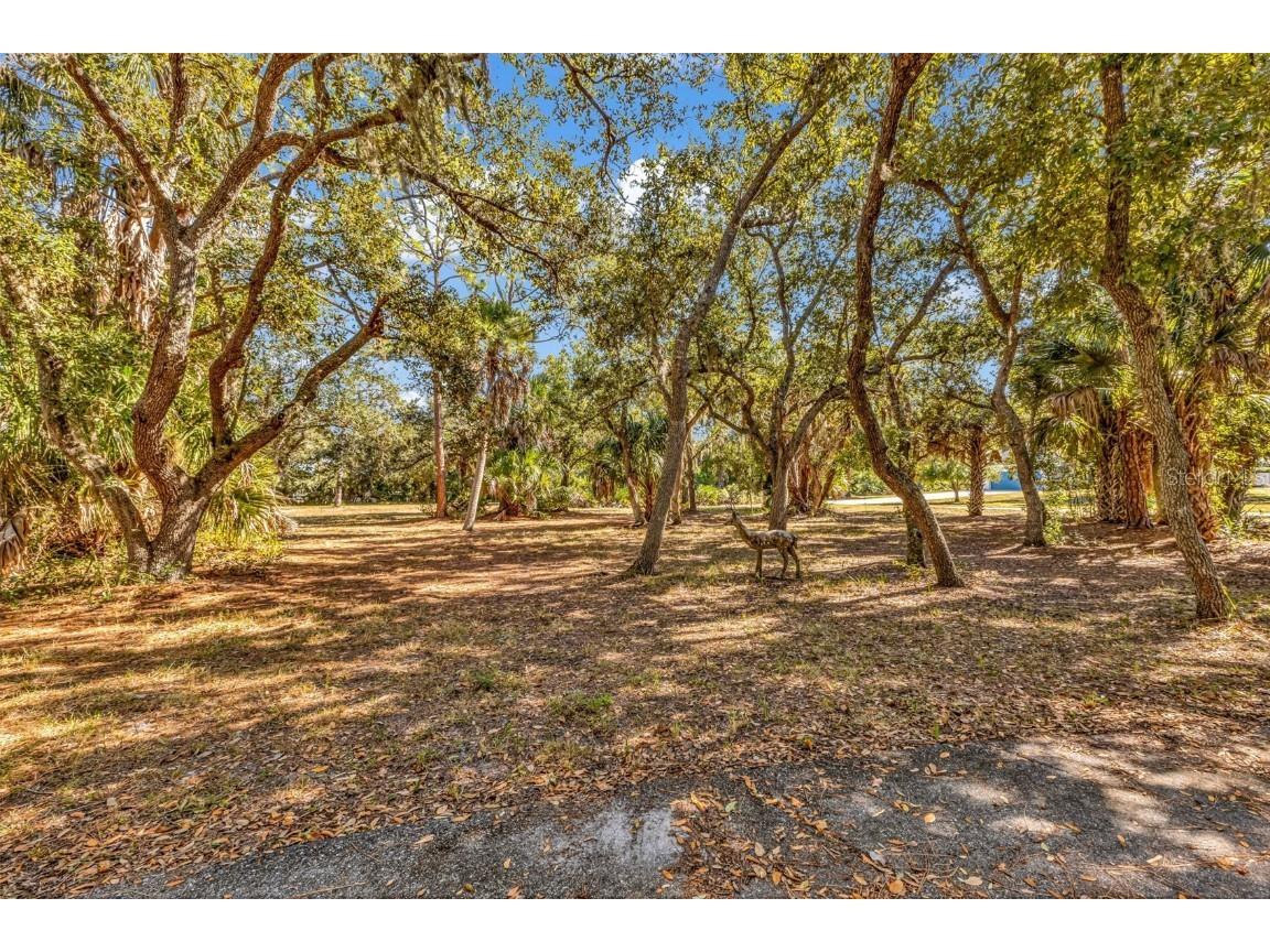 24581 Nova Lane Punta Gorda FL 33980 C7517712 image5