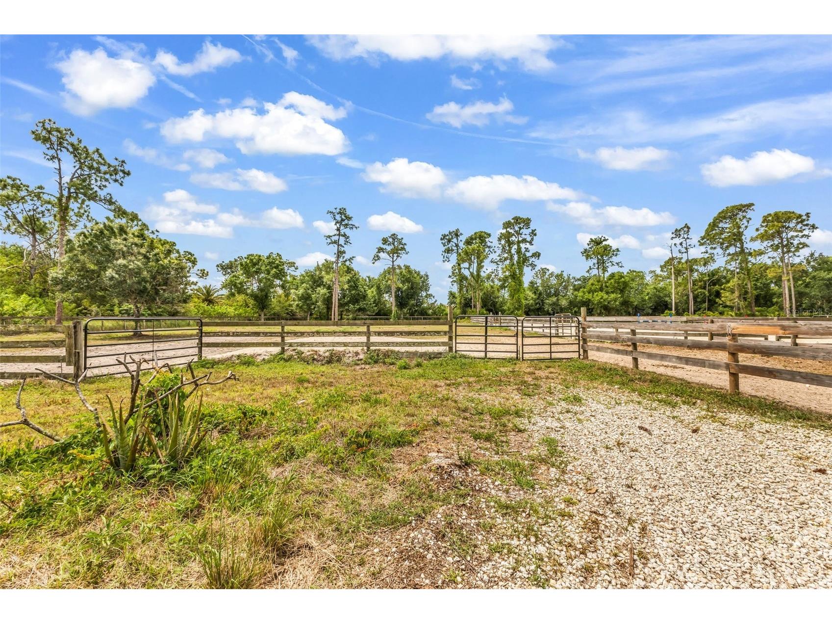 24581 Tangerine Avenue Punta Gorda FL 33980 C7527061 image44