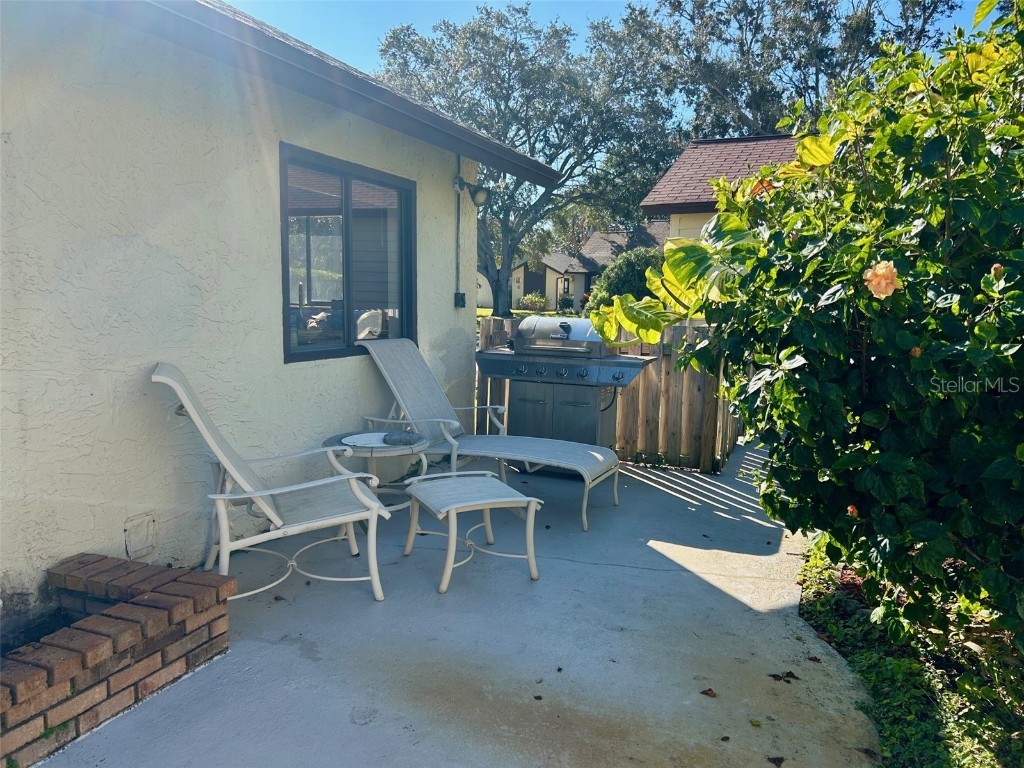 2459 Bay Berry Drive Clearwater FL 33763 TB8448717 image18