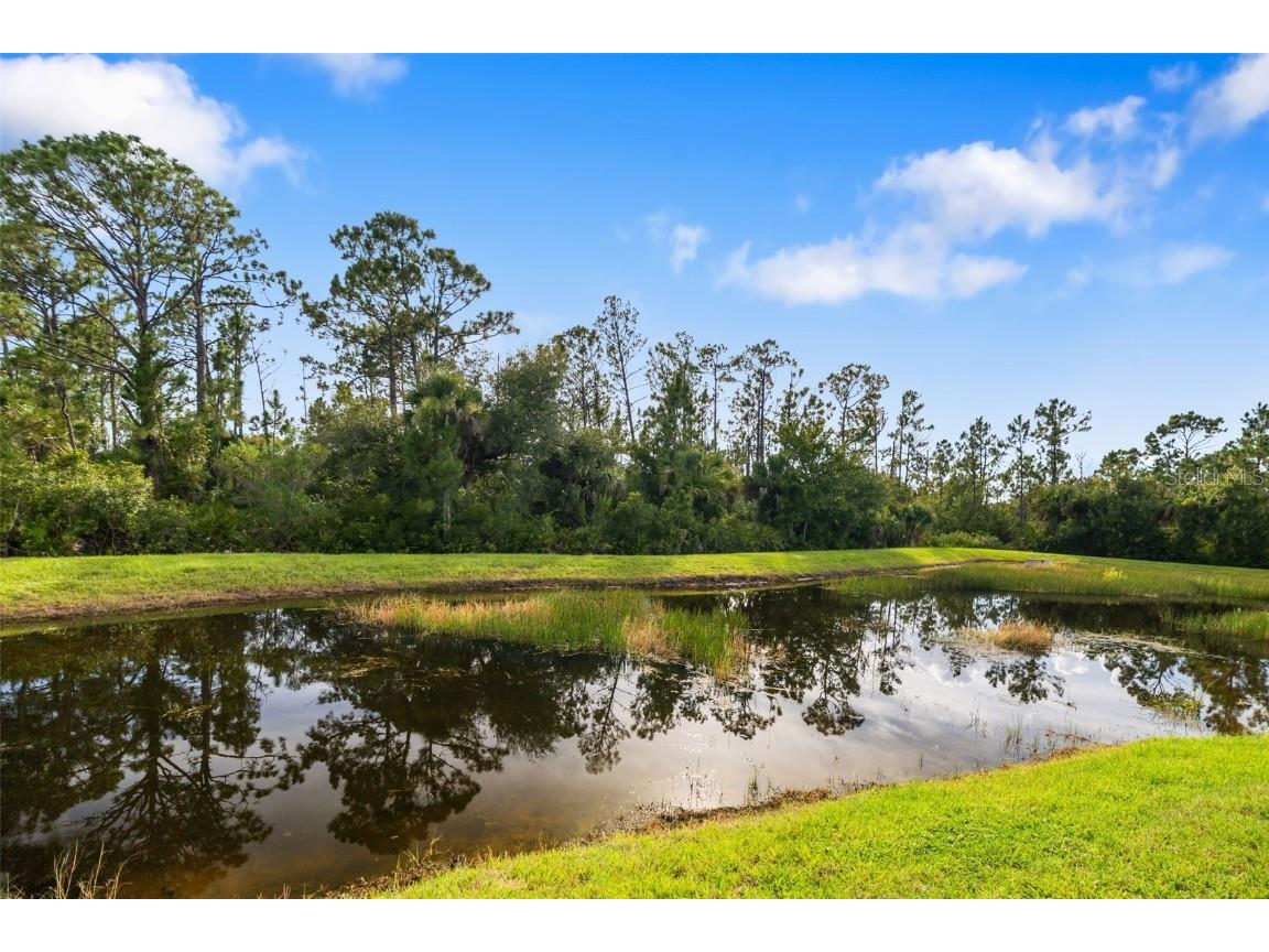 2459 Brassica Drive North Port FL 34289 A4659268 image13