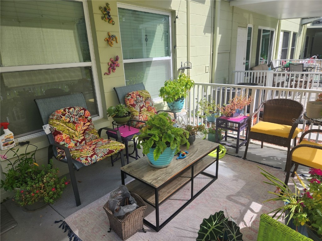 2459 Columbia Drive #21 Clearwater FL 33763 TB8445696 image14