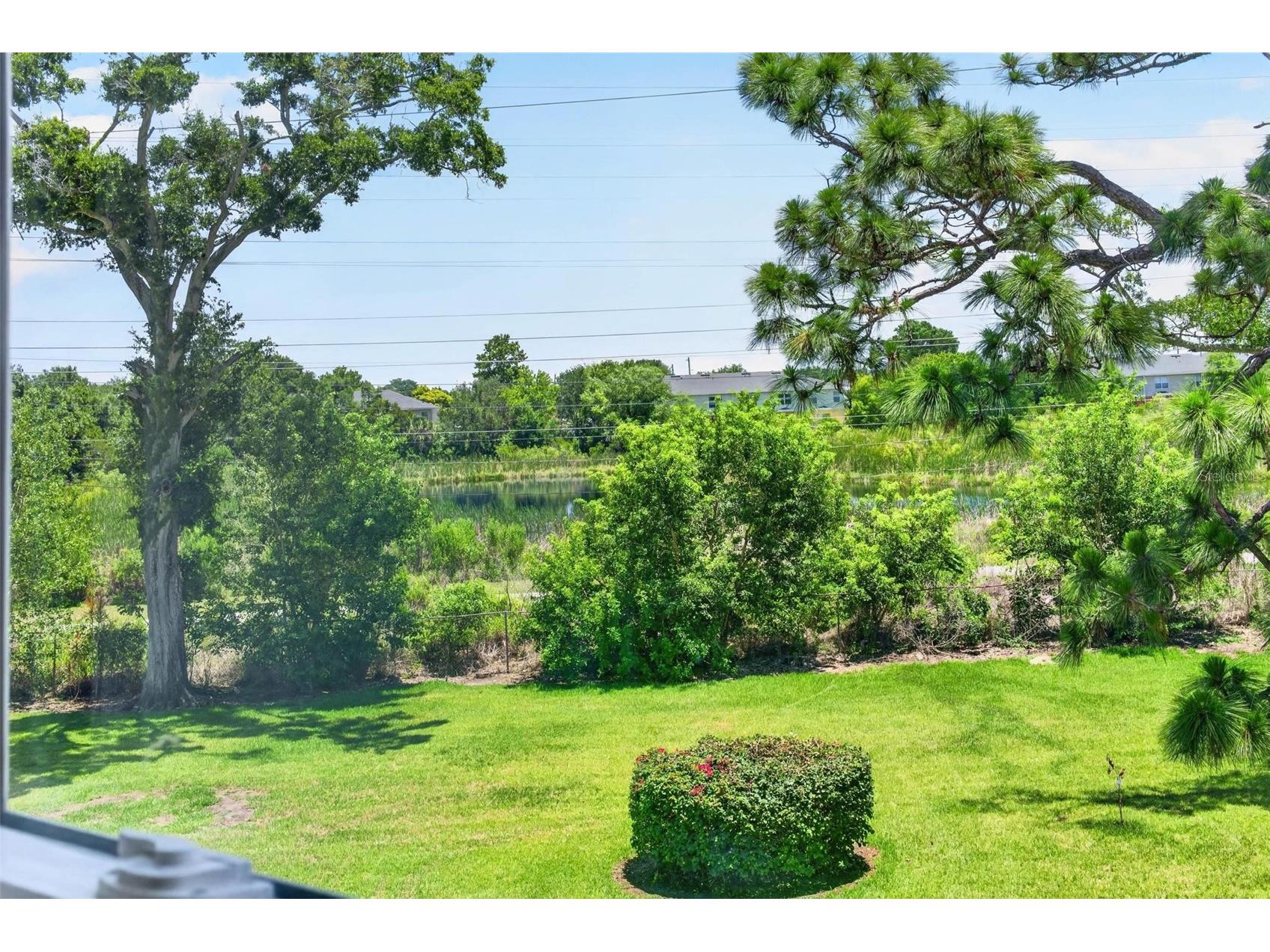 2459 Columbia Drive #67 Clearwater FL 33763 TB8510178 image18