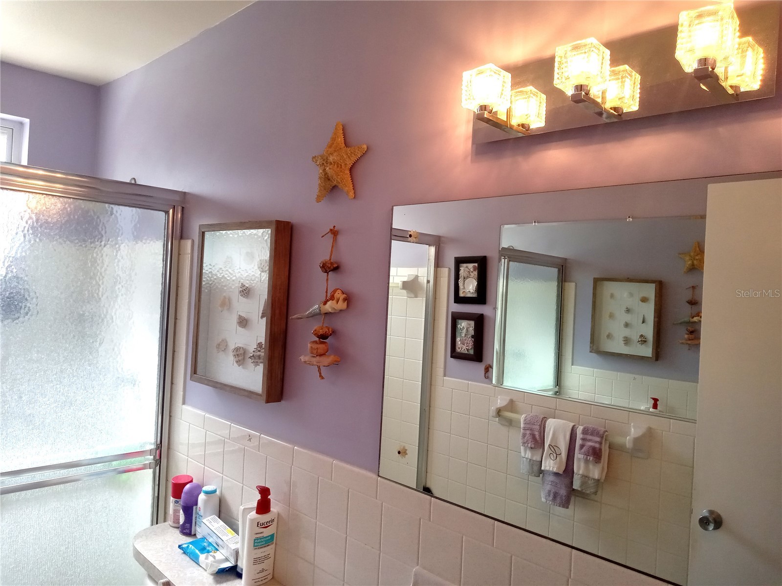 2459 Franciscan Drive #37 Clearwater FL 33763 TB8494516 image33