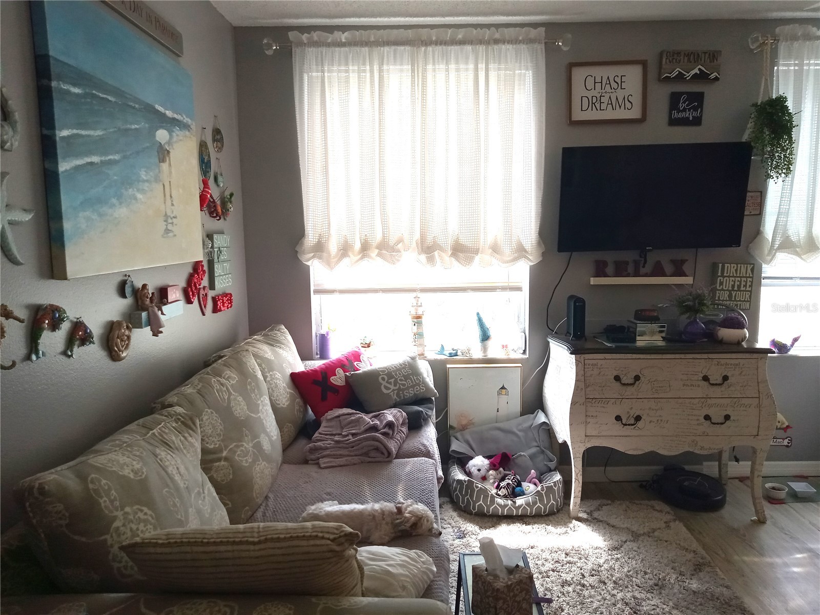 2459 Franciscan Drive #37 Clearwater FL 33763 TB8494516 image35