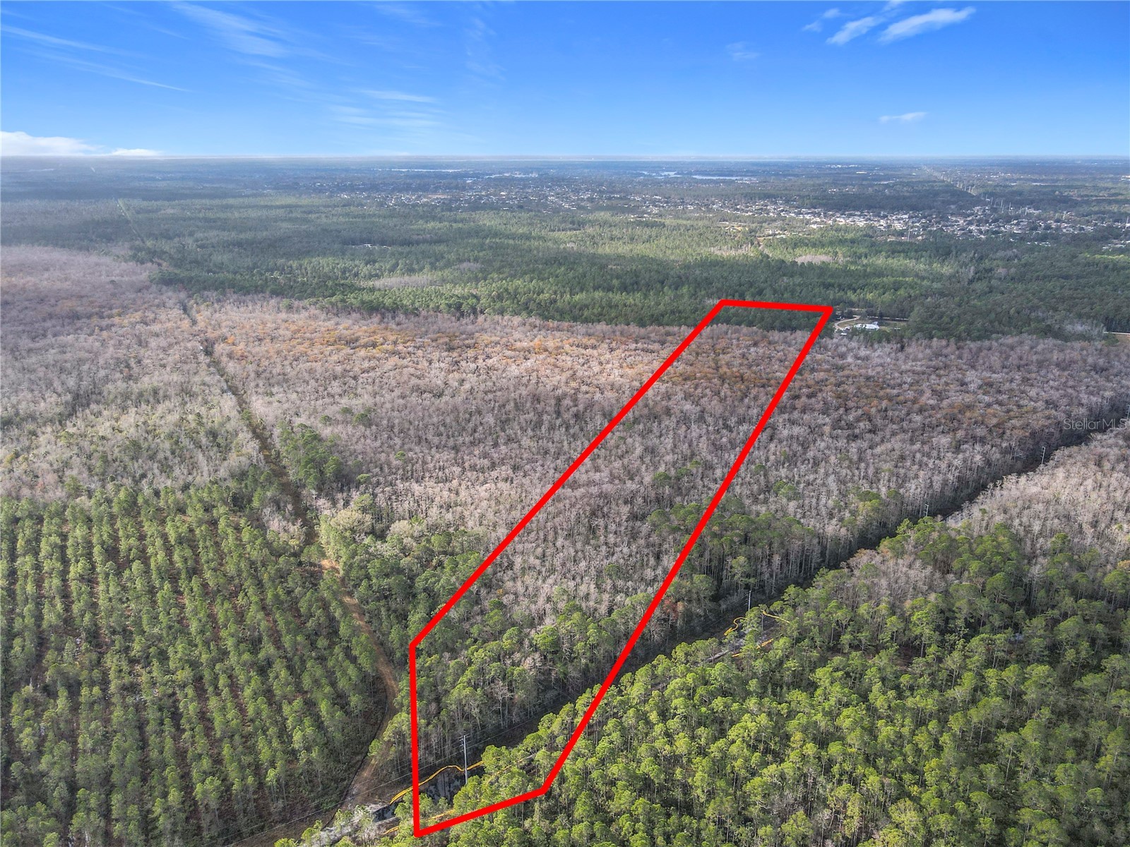 2459 Old Train Road Deltona FL 32738 O6368505 image1