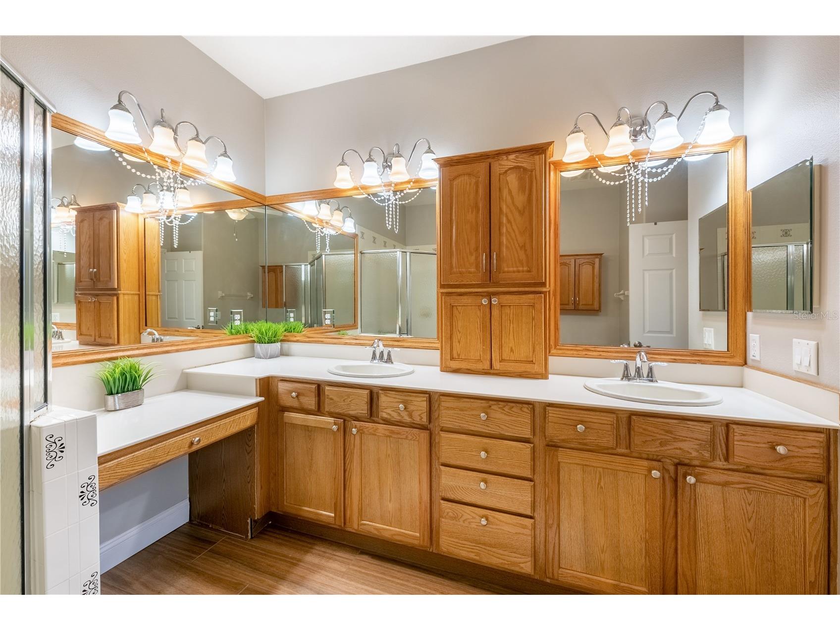 2459 Palm Tree Drive Kissimmee FL 34759 S5149121 image19