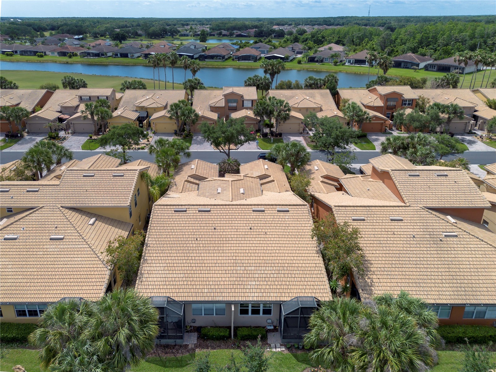 2459 Palm Tree Drive Kissimmee FL 34759 S5149121 image37