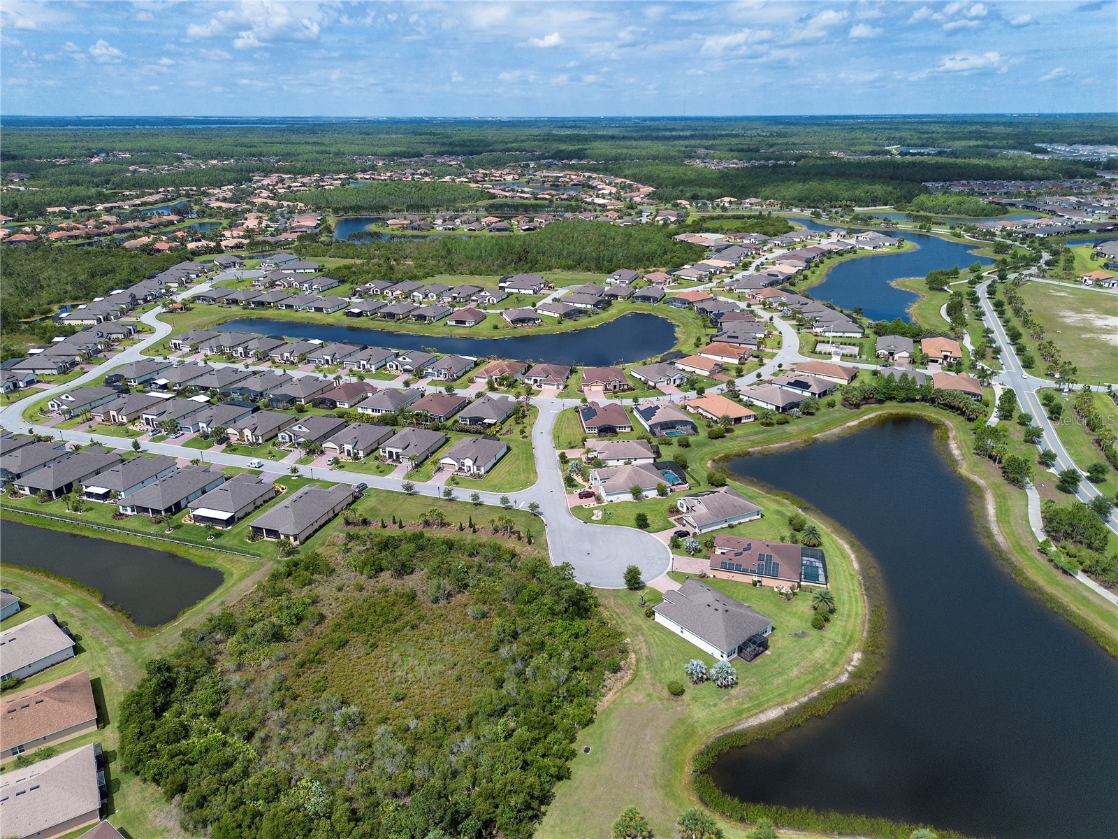 2459 Palm Tree Drive Kissimmee FL 34759 S5149121 image44