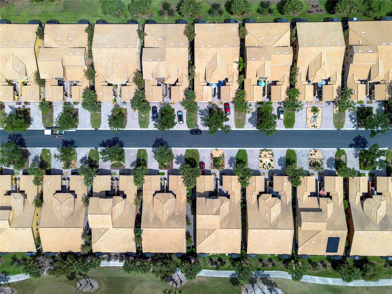2459 Palm Tree Drive Kissimmee FL 34759 S5149121 image47