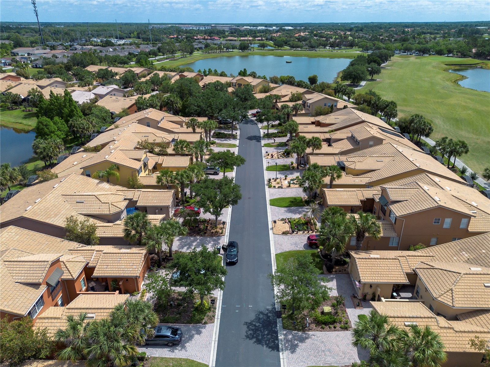 2459 Palm Tree Drive Kissimmee FL 34759 S5149121 image50