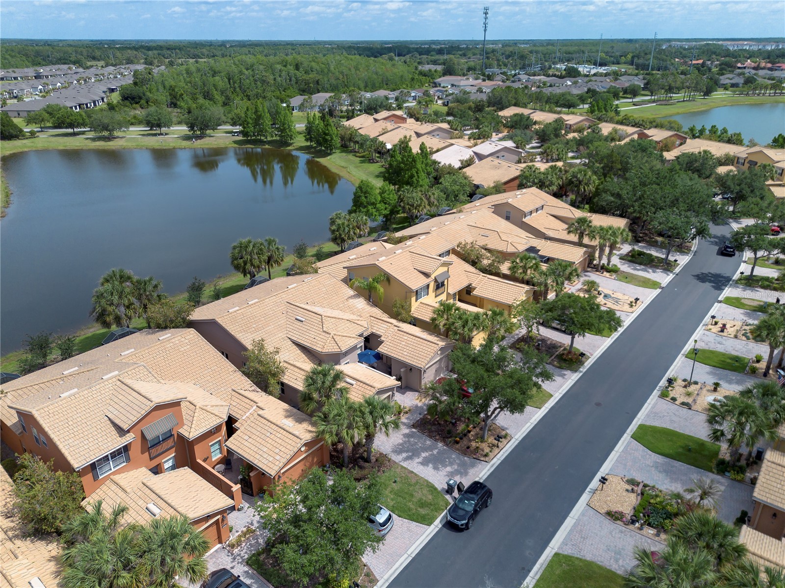 2459 Palm Tree Drive Kissimmee FL 34759 S5149121 image51
