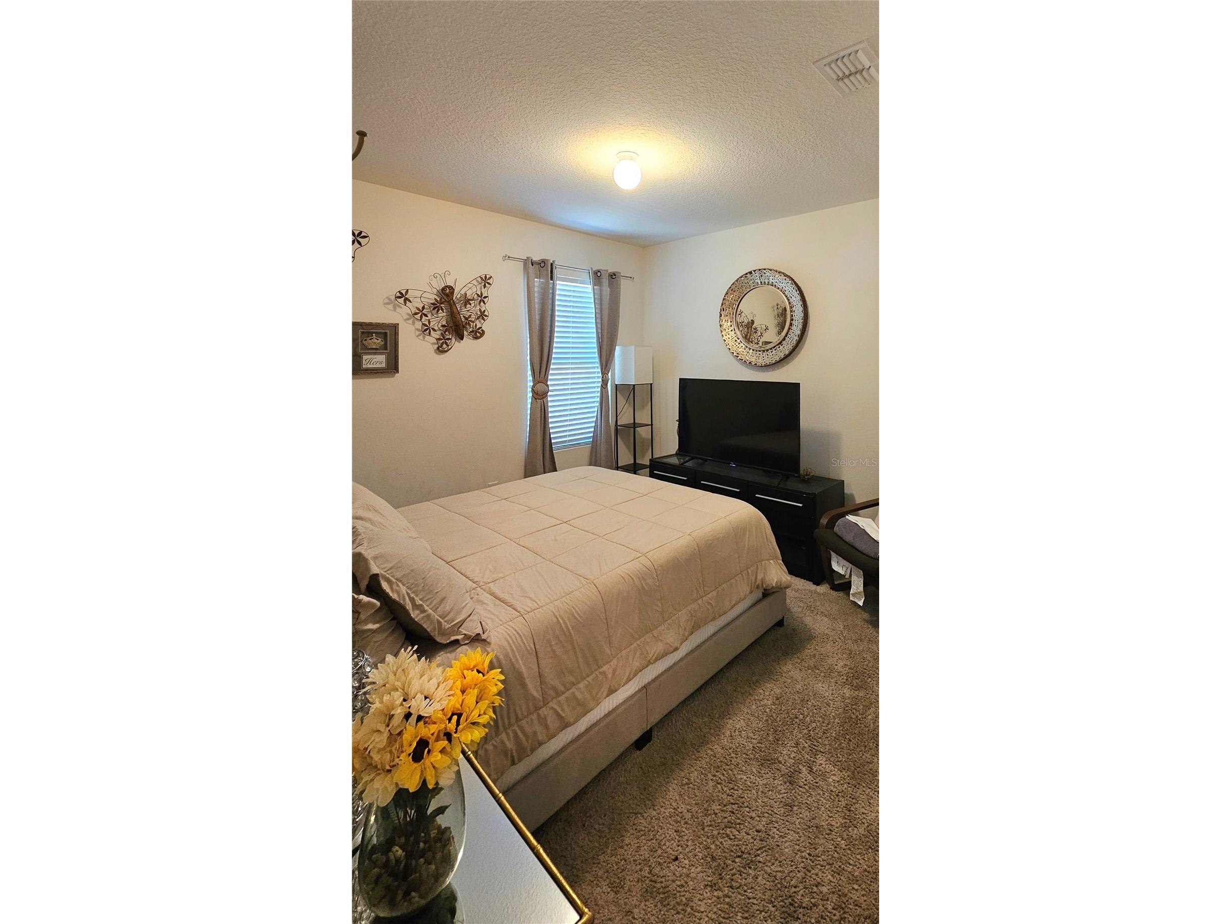 2459 Valhalla Drive Tavares FL 32778 O6404262 image15