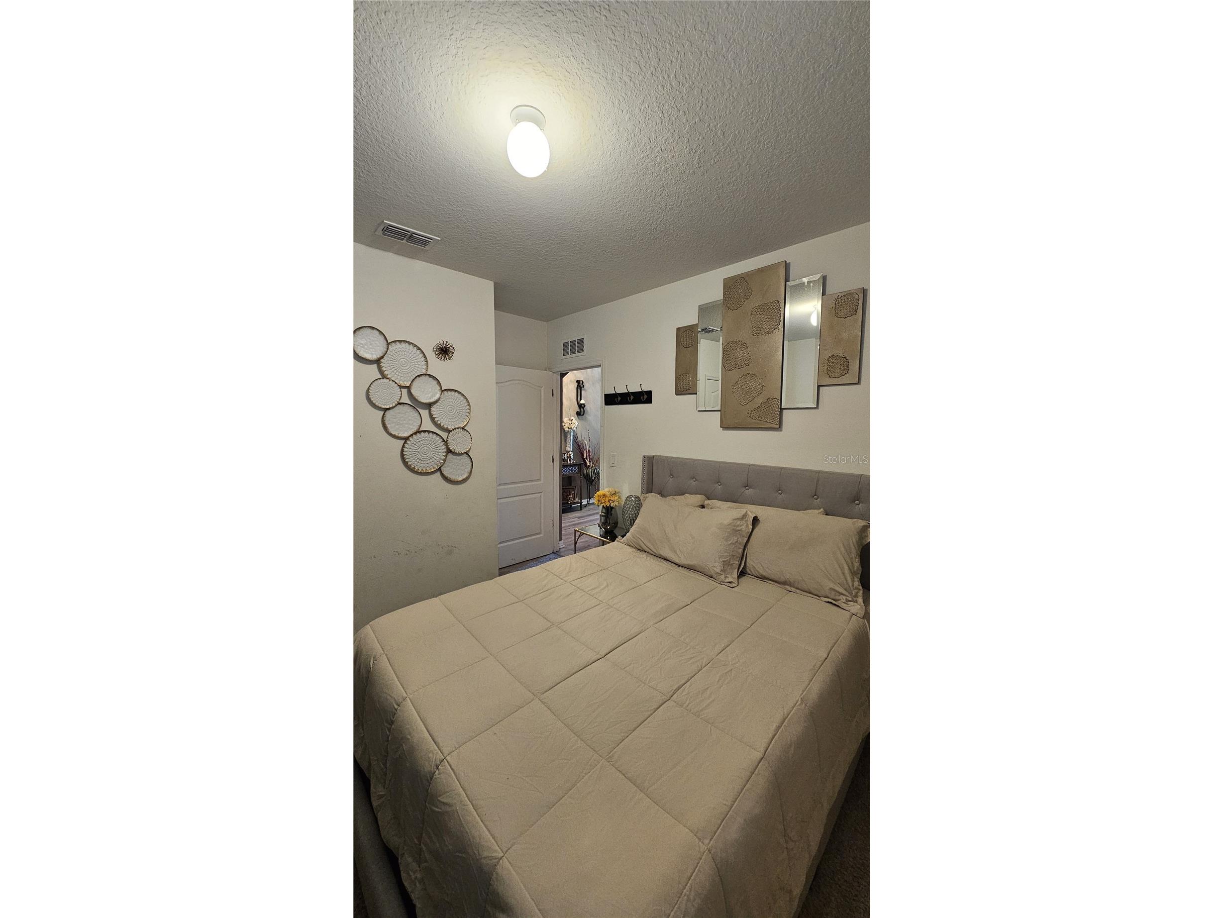 2459 Valhalla Drive Tavares FL 32778 O6404262 image16