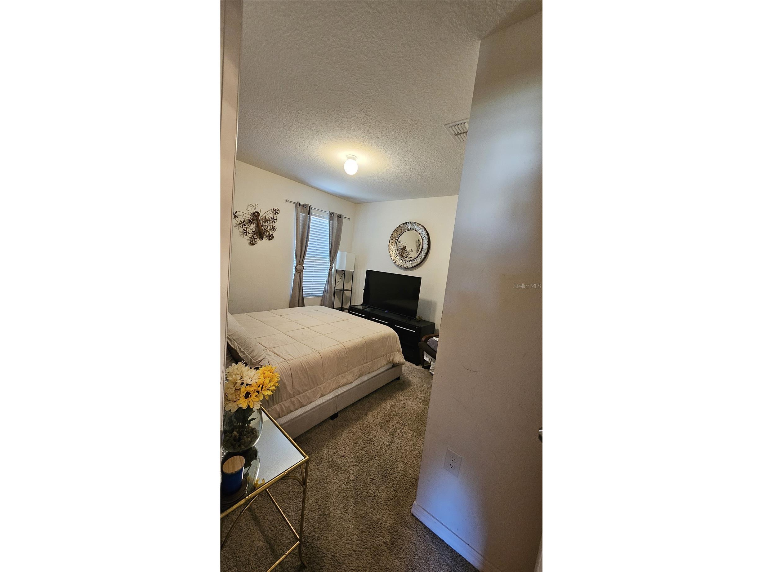 2459 Valhalla Drive Tavares FL 32778 O6404262 image18