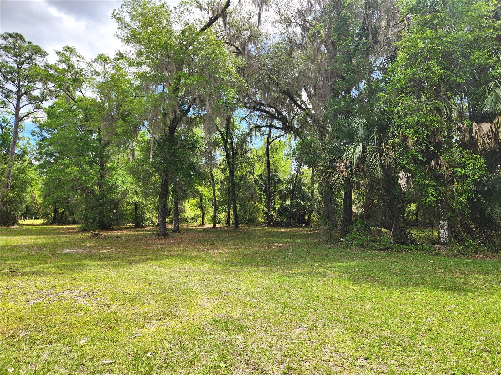 24595 NE Highway 315 Fort Mc Coy FL 32134 OM722630 image40
