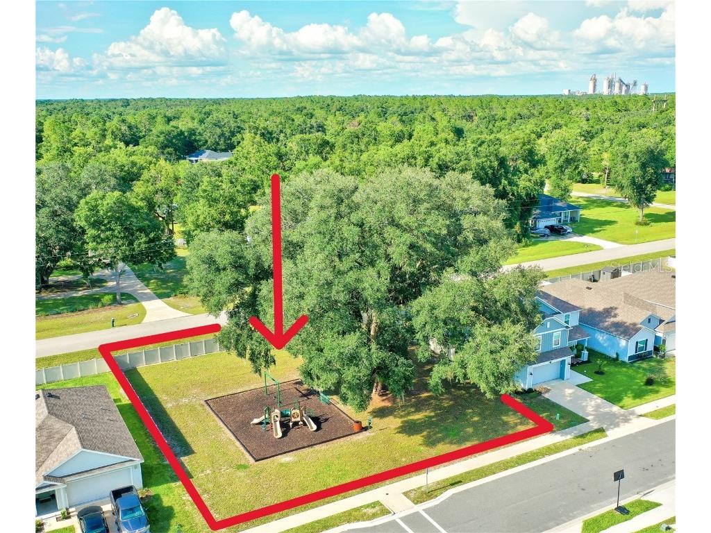 24596 NW 23rd Lane Newberry FL 32669 O6336641 image40