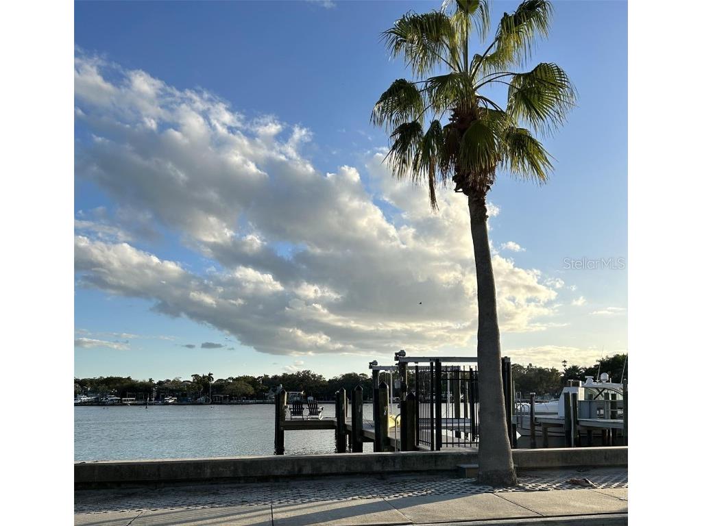 246 22nd Avenue NE Saint Petersburg FL 33704 TB8381370 image32